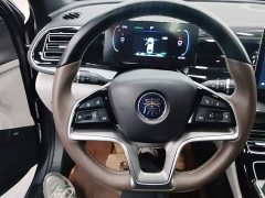 BYD Qin PLUS Champion Edition EV 420KM Excellence - ფოტო 10