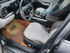 BYD Qin PLUS Champion Edition EV 420KM Excellence - ფოტო 14