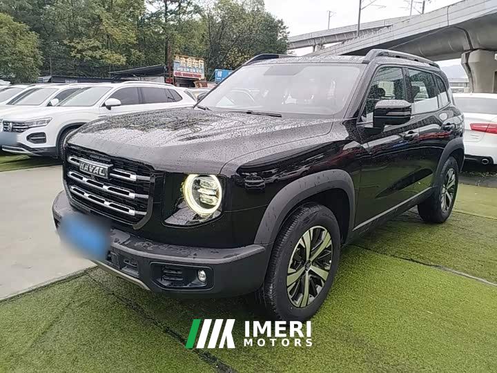 Great Wall Dachshund 1.5T DCT Two-Wheel Drive Labrador Edition