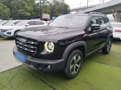 Great Wall Dachshund 1.5T DCT Two-Wheel Drive Labrador Edition - ფოტო 1