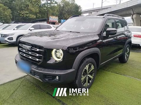 2021 Great Wall Dachshund 1.5T DCT Two-Wheel Drive Labrador Edition - ავტომობილი ჩინეთიდან
