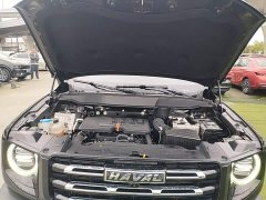 Great Wall Dachshund 1.5T DCT Two-Wheel Drive Labrador Edition - ფოტო 19
