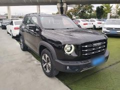 Great Wall Dachshund 1.5T DCT Two-Wheel Drive Labrador Edition - ფოტო 3