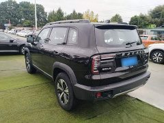 Great Wall Dachshund 1.5T DCT Two-Wheel Drive Labrador Edition - ფოტო 4