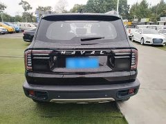 Great Wall Dachshund 1.5T DCT Two-Wheel Drive Labrador Edition - ფოტო 5