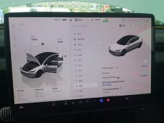 Tesla Model 3 Rear-Wheel Drive - ფოტო 11