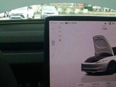 Tesla Model 3 Rear-Wheel Drive - ფოტო 13