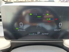 Geely Geometry E Firefly 301km Starlight - ფოტო 11