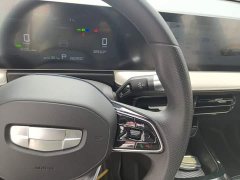 Geely Geometry E Firefly 301km Starlight - ფოტო 13