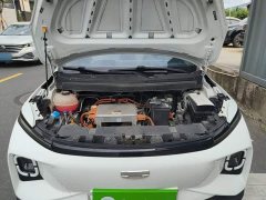 Geely Geometry E Firefly 301km Starlight - ფოტო 19