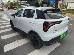 Geely Geometry E Firefly 301km Starlight - ფოტო 4