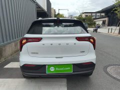 Geely Geometry E Firefly 301km Starlight - ფოტო 5