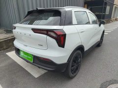 Geely Geometry E Firefly 301km Starlight - ფოტო 6