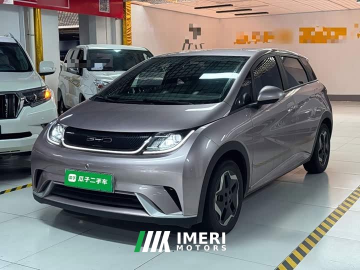 BYD Dolphin 405km Freedom Edition - ავტომობილი ჩინეთიდან