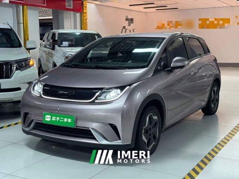 2022 BYD Dolphin 405km Freedom Edition - ავტომობილი ჩინეთიდან