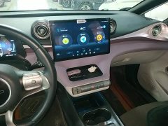BYD Dolphin 405km Freedom Edition - ფოტო 12