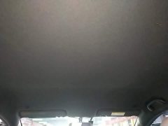 BYD Dolphin 405km Freedom Edition - ფოტო 17