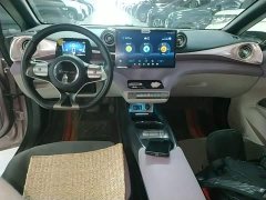BYD Dolphin 405km Freedom Edition - ფოტო 9