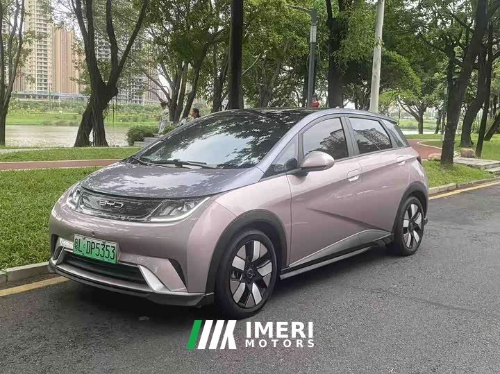 BYD Dolphin 2021 401km Knight Edition