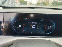 Changan Eado 2023 Enjoy Plus Blue Whale NE 1.4T GDI DCT Luxury Edition - ფოტო 11