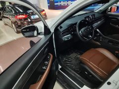 Geely Emgrand X6 2021 PRO 1.4T Automatic Luxury - ფოტო 15