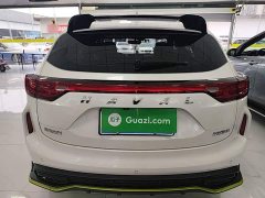 Haval Chitu Jingxiang Edition 1.5T Purple Copper Rabbit - ფოტო 3