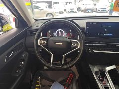 Haval Chitu Jingxiang Edition 1.5T Purple Copper Rabbit - ფოტო 6
