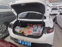 Changan Yida 2023 Blue Whale NE 1.5T GDI DCT Navigator - ფოტო 18