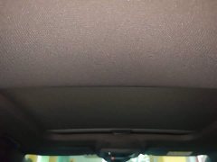 Volkswagen Golf 280TSI DSG R-Line 50th Anniversary Edition - ფოტო 17