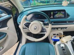 ORA Good Cat 400km Standard Range Venus Edition LFP Battery - ფოტო 2