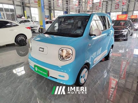 2024 FAW Besturn Xiaoma 170km Yuanqi Ma - ავტომობილი ჩინეთიდან