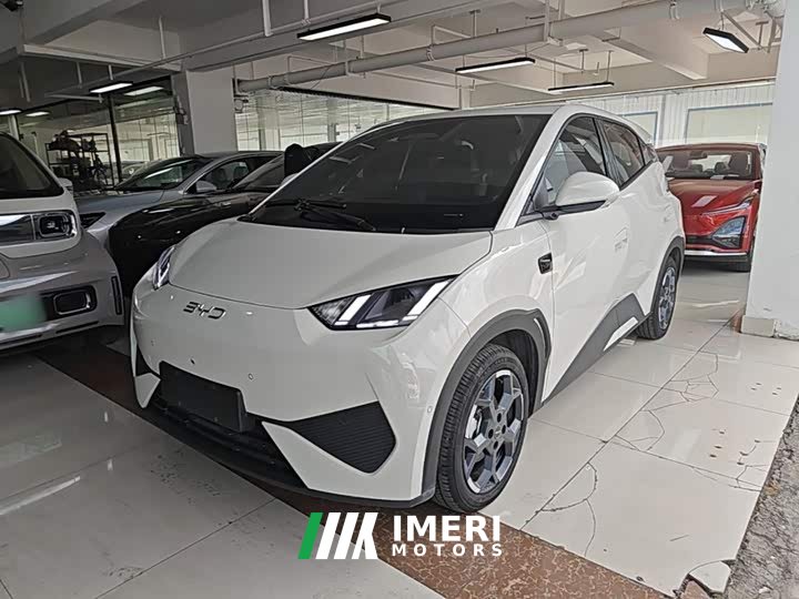 BYD Seagull Smart Driving Edition 305km Freedom Edition