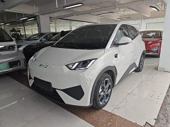 BYD Seagull Smart Driving Edition 305km Freedom Edition - ფოტო 1