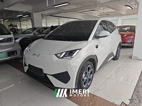2025 BYD Seagull Smart Driving Edition 305km Freedom Edition