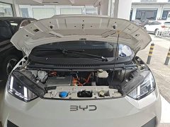 BYD Seagull Smart Driving Edition 305km Freedom Edition - ფოტო 19