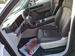 Leapmotor C11 Extended Range 300 Comfort Edition - ფოტო 14