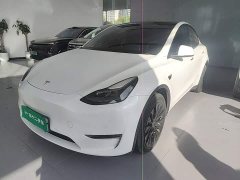 Tesla Model Y Long Range All-Wheel Drive 3D7 - ფოტო 1