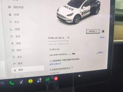 Tesla Model Y Long Range All-Wheel Drive 3D7 - ფოტო 11
