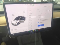 Tesla Model Y Long Range All-Wheel Drive 3D7 - ფოტო 12