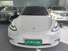 Tesla Model Y Long Range All-Wheel Drive 3D7 - ფოტო 2
