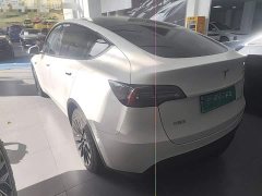 Tesla Model Y Long Range All-Wheel Drive 3D7 - ფოტო 4