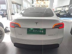 Tesla Model Y Long Range All-Wheel Drive 3D7 - ფოტო 5