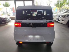 Wuling Hongguang MINIEV 2022 Easy Edition LFP Battery - ფოტო 5
