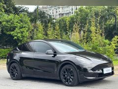 Tesla Model Y Rear-Wheel Drive - ფოტო 1