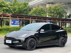 Tesla Model Y Rear-Wheel Drive - ფოტო 2