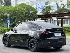 Tesla Model Y Rear-Wheel Drive - ფოტო 5