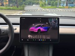 Tesla Model Y Rear-Wheel Drive - ფოტო 9