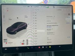 Tesla Model 3 Long Range All-Wheel Drive - ფოტო 11