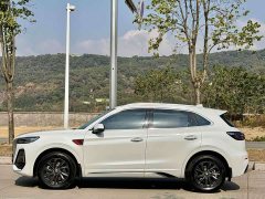 FAW Red Flag HS5 2023 2.0T Flagship Pro - ფოტო 3