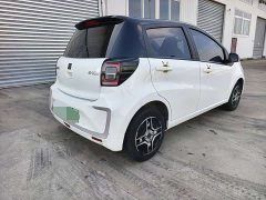 Flower Fairy 302km Fashion 31.4kWh - фото 3